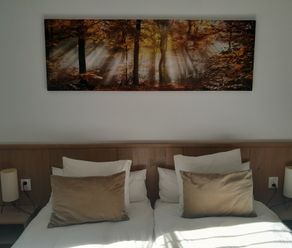 Kamer 7 bed frontaal___serialized1